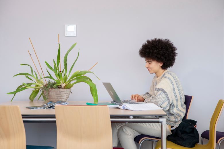 UM Academy: professional looking for courses on a laptop