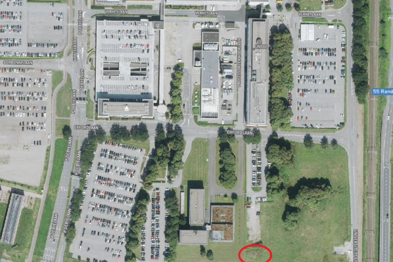 Bee Hot Spot location