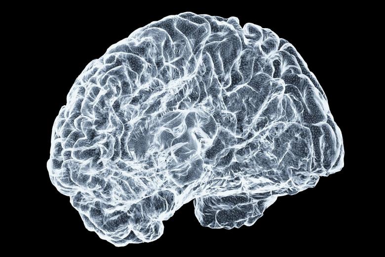 Graphic image of a brain.