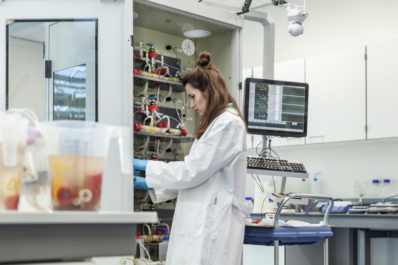 Student working in lab