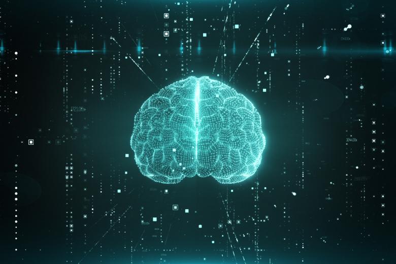 Bachelor Brain Science banner uncropped