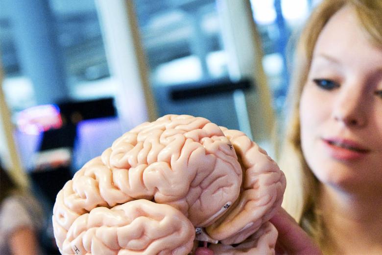 Neuropsychology header oud