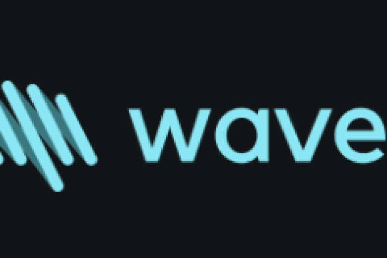 FPN Waves 2025