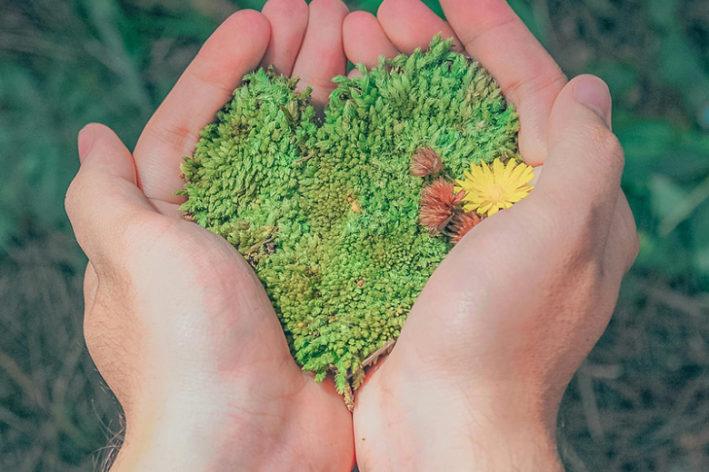 Hands holding a heart-shaped bit of moss