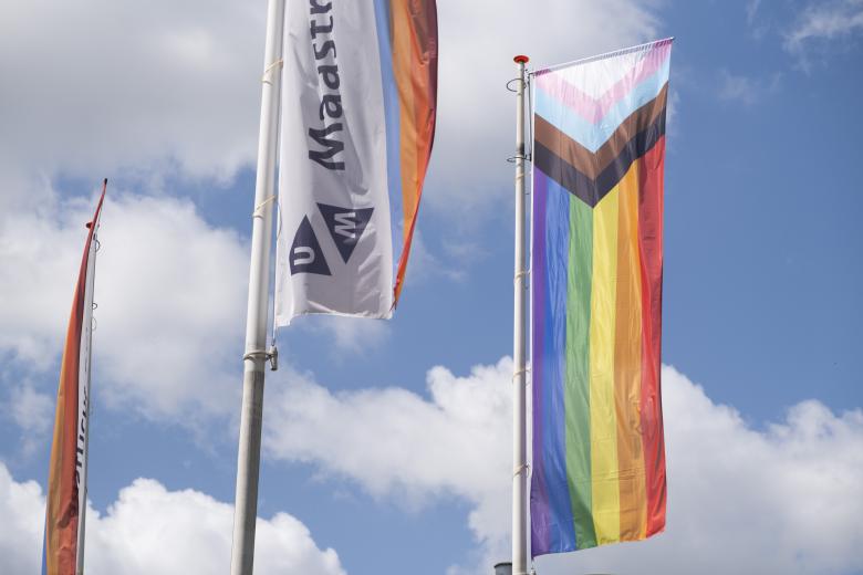 The raised flag at Pride month flag raising event