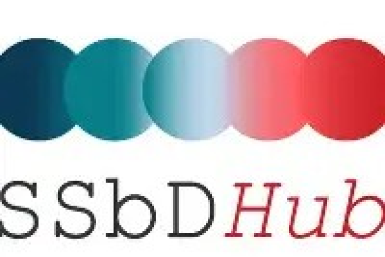 SSbD hub Brussels Hub