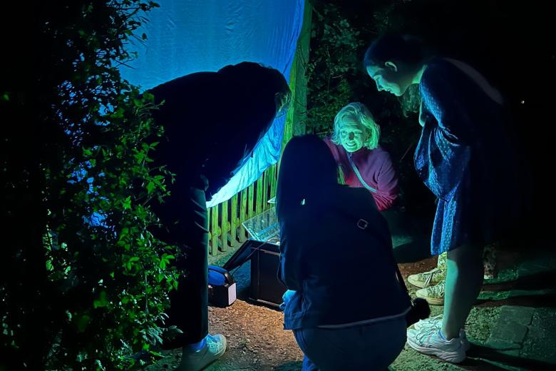 moth traps