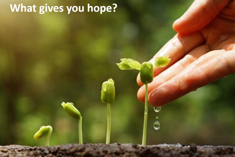positive psychology workshop