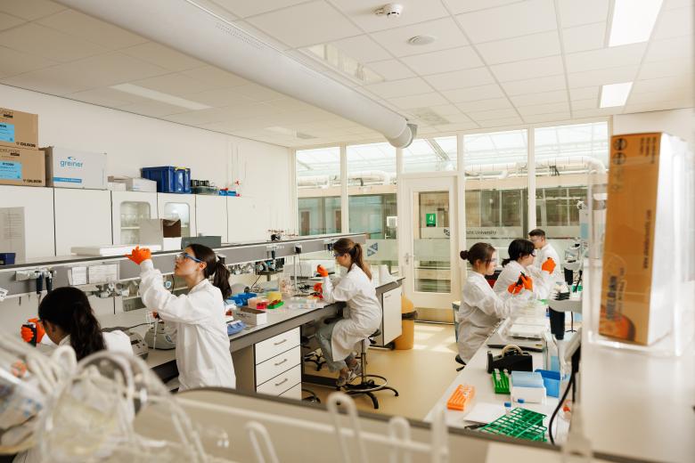 Students working in the lab at Villa Flora