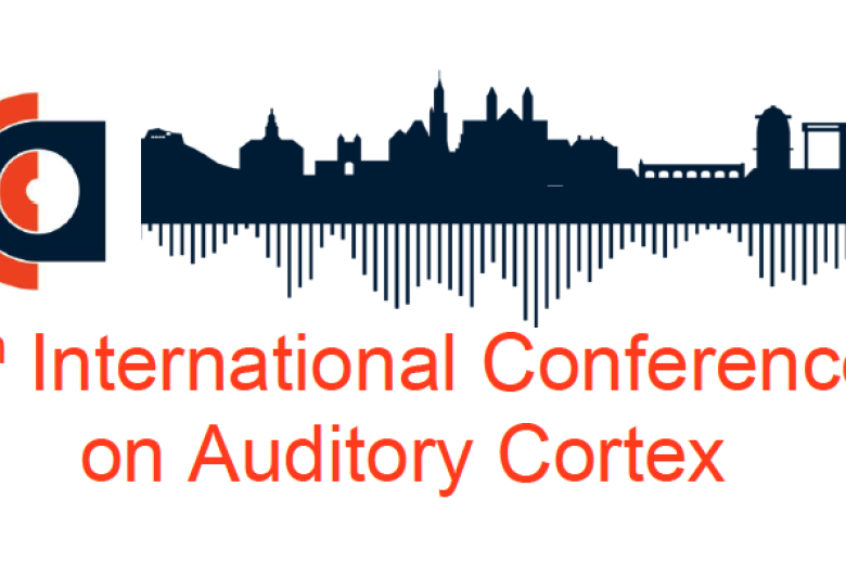 ICAC programme banner