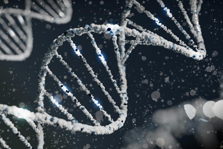 dna