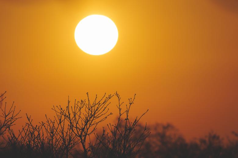 Climate Health heat
