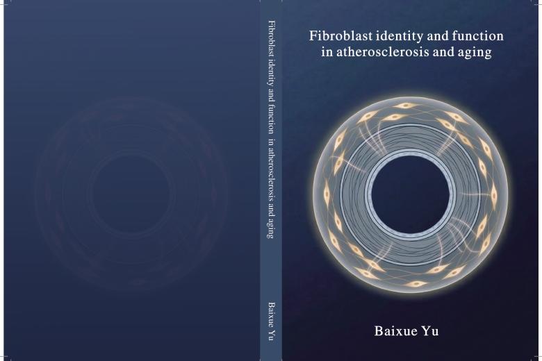 Cover Baixue