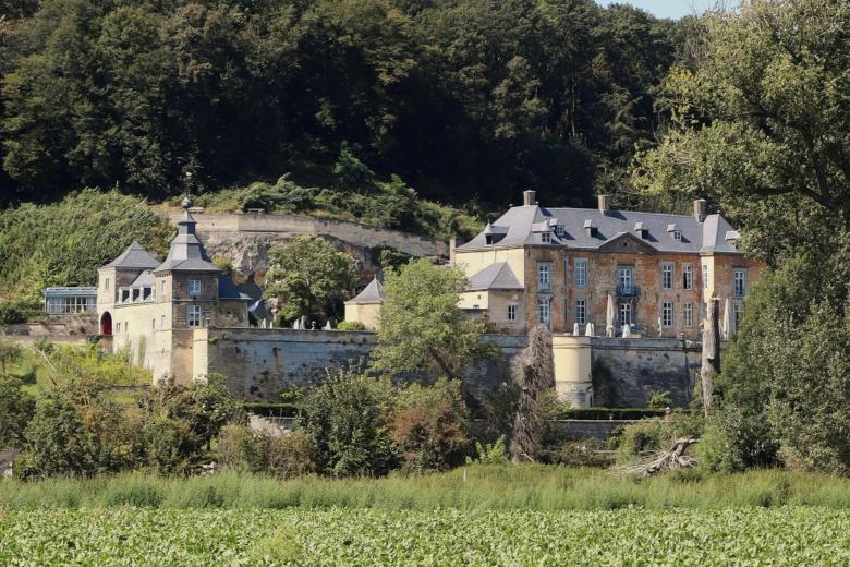 a castle in a green landscape