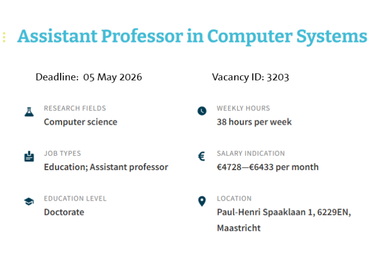 Assistant professor in Computer Systems DACS