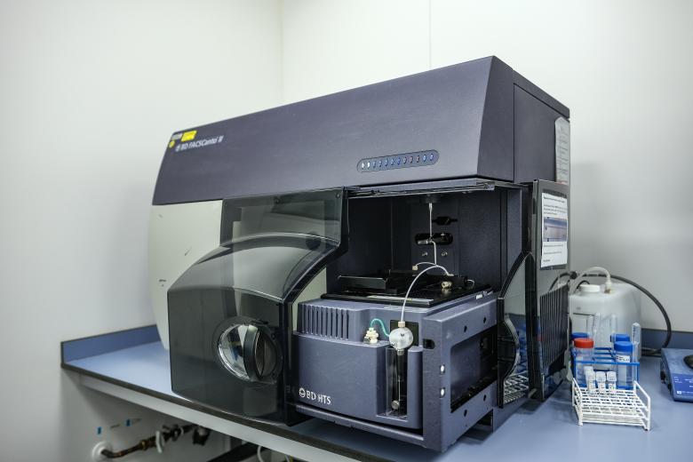 FHML Cytometry BD CANTO II