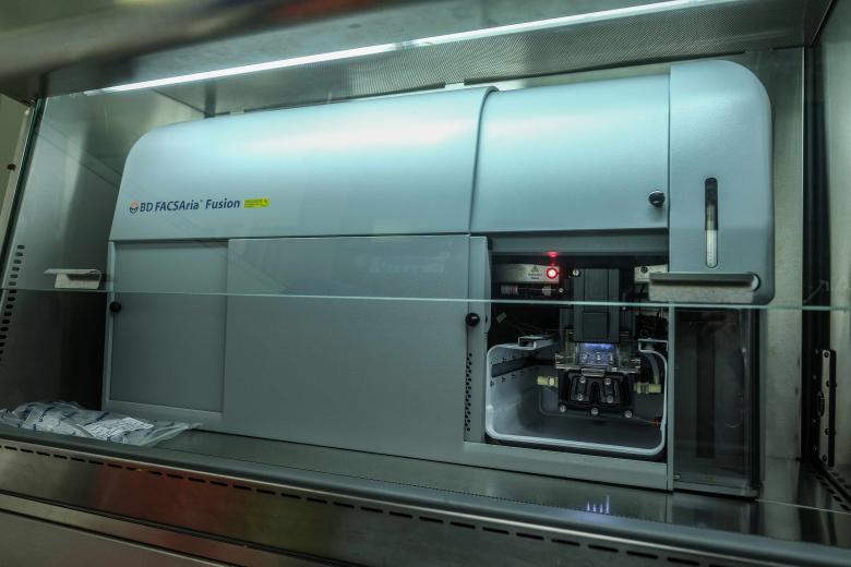 FHML Cytometry FACSAria Fusion Sorter