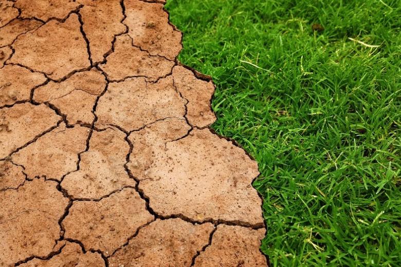 uitgedroogde grond en groen gras als metafoor voor klimaatverandering