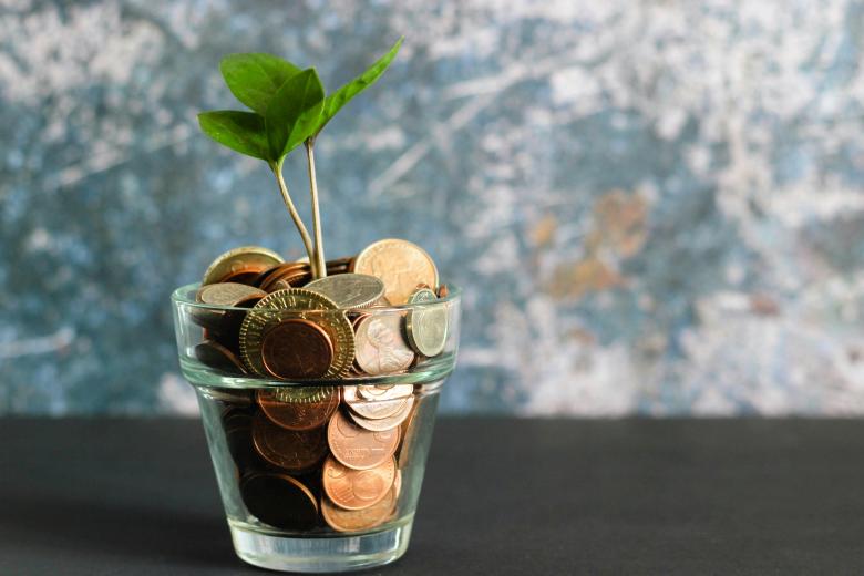 glass jar with coins a growing plant