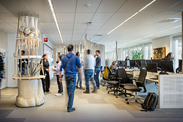 The MERLN office