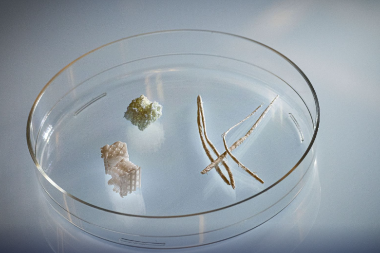 A 3D-printed plastic structure for living cells, one  made of bone material, and artificial entheses (fibers that attach tendons to bone).