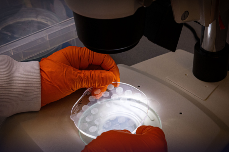 Lab research