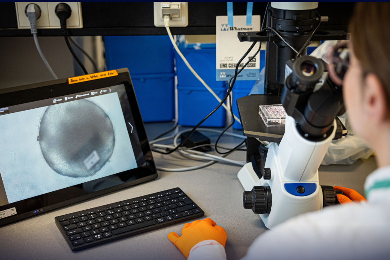 Lab research