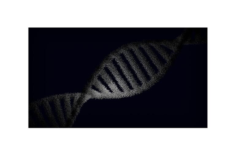 Genetics
